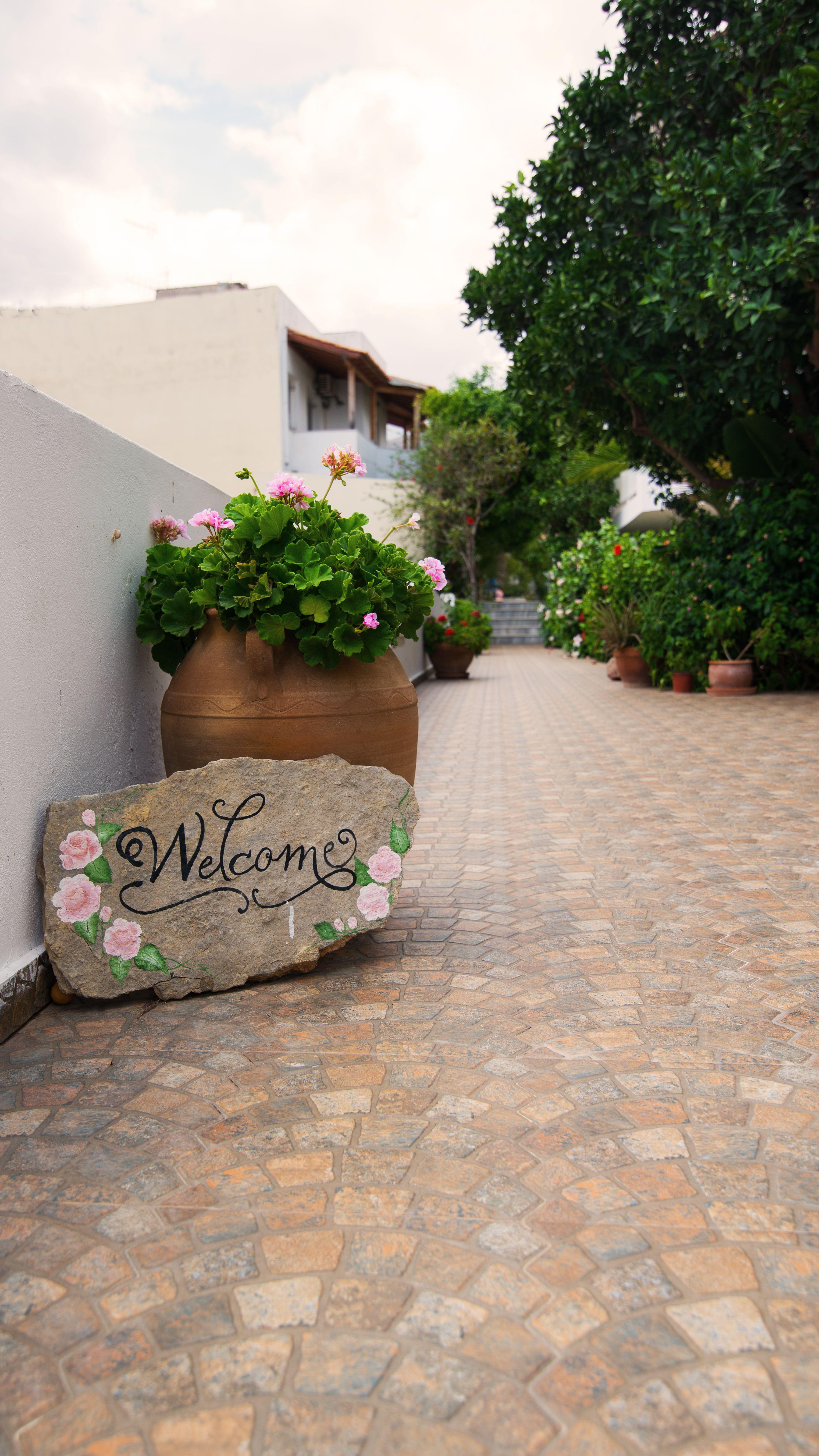 Melissa Apartments, Studios & Suites Malia Buitenkant foto