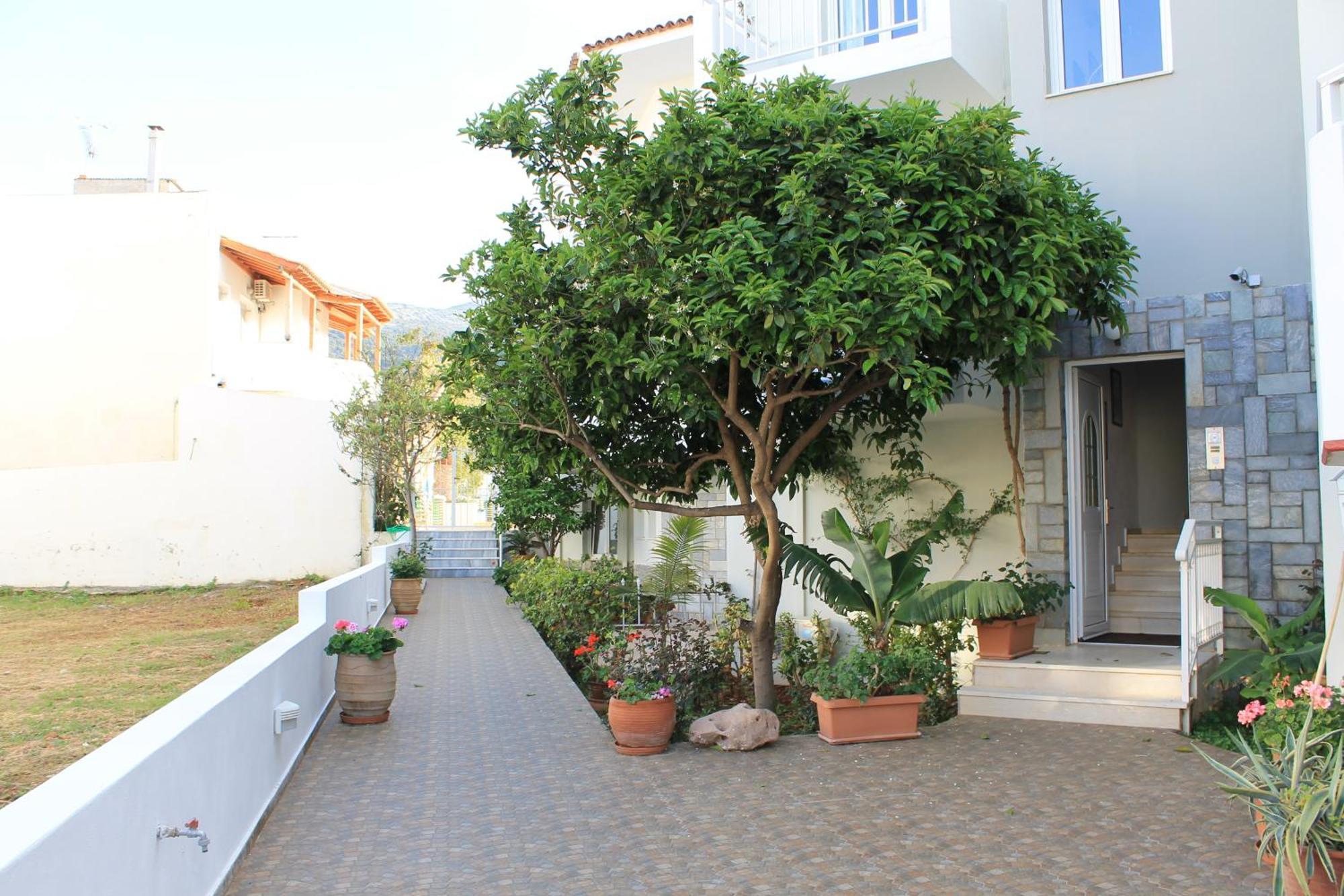 Melissa Apartments, Studios & Suites Malia Buitenkant foto